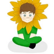 The Life Of A Sunflower
