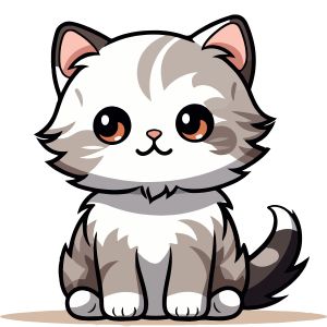 Delily Astrom - Packing