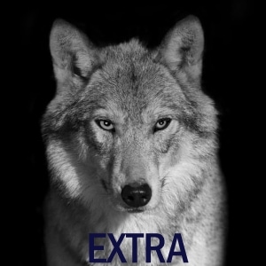 Extra: Info about werewolves