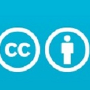 Text of Creative Commons License