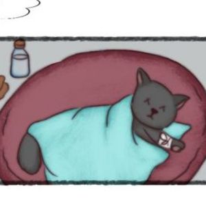 Salem Wakes Up