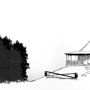 Fig. 0