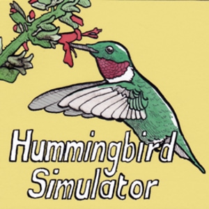 Hummingbird Simulator