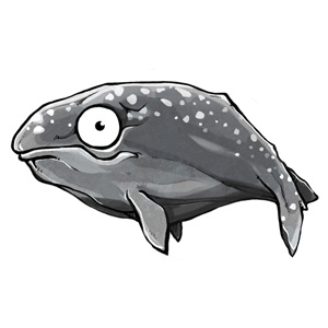 the Unseen Ghost Whale