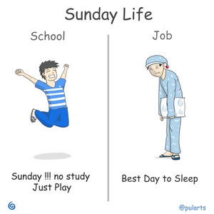  school vs job life