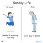  school vs job life