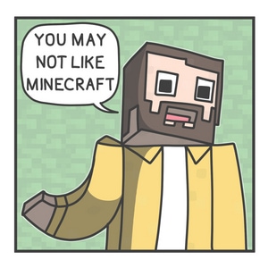 You Like Minecraft?