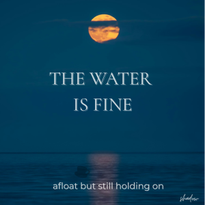 Scarecrow In New Clothes