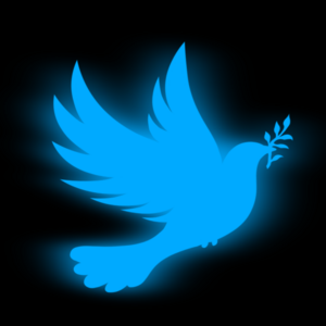 CHAPTER 4: Stowaways