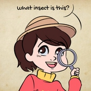 Let's Learn about Insect