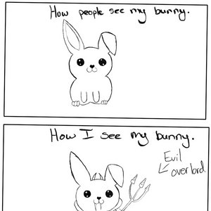 Bunnys are evil