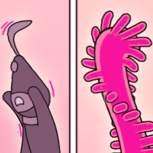 03-13
