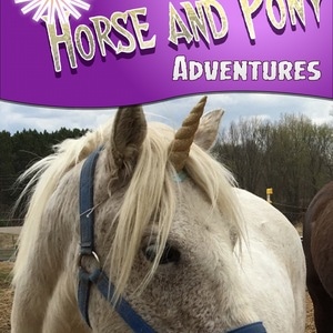Horse Adventures