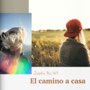 [ESP]El camino a casa