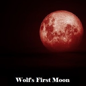 Wolf's First Moon