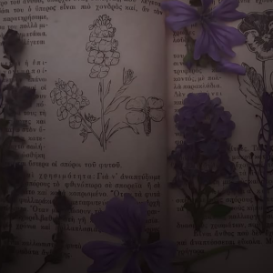 Chapter III &laquo;First Time - First Class&raquo;