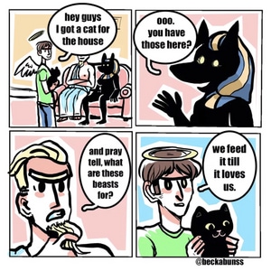 What's a Cat for?