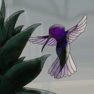 For a better future (Cover)