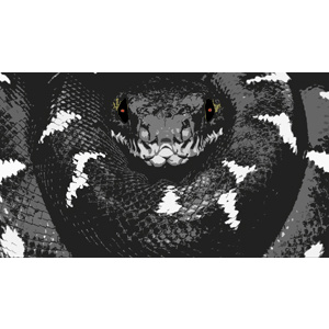 THE BROTHERHOOD OF SNAKES