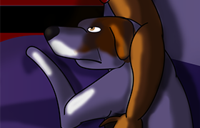 custom banner