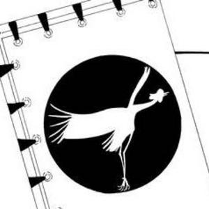 The Crane 01, A new beginning