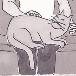 Lap Cat