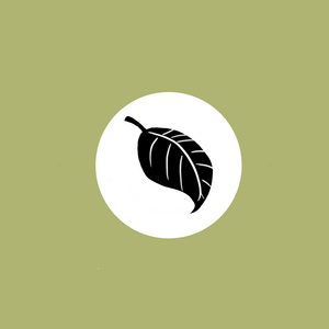  The Fall