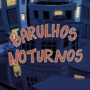 Barulhos noturnos