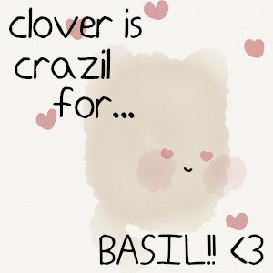 clover is crazil for basil!