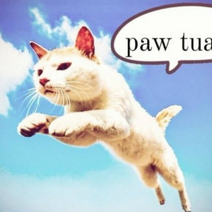 Before the story starts