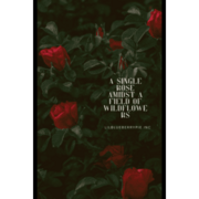 A Single Rose Amidst a Field of Wildflowers