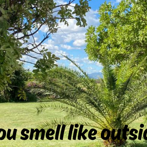 You're as shiny as they say