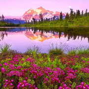 Environmental awareness 