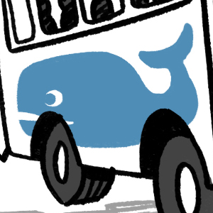 Two Whales Tours