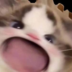 Extra Chapter: Clarity No one asked for 