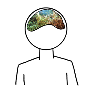 Even wachten nooooog......