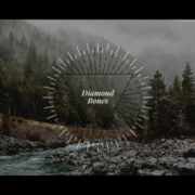Diamond Bones
