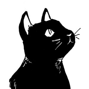 The First Lesson (part 2)