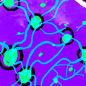 Expositional digression #1: Flowers