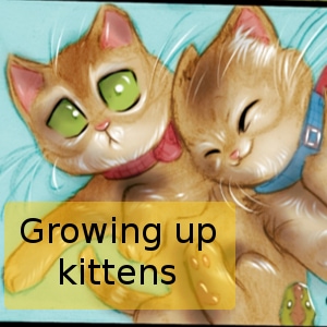 Growing up kittens