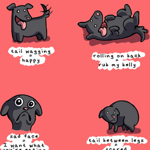 Language of Dogs