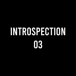 INTROSPECTION 03