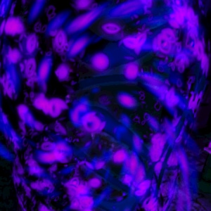 Part 0 - The worst of both worlds - Page 4