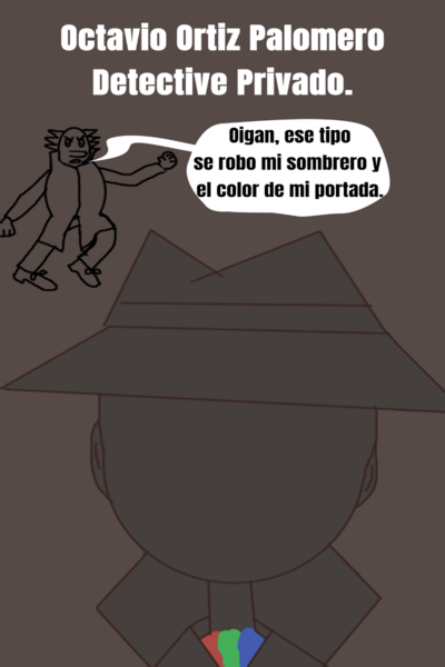 Octavio Ortiz Palomero Detective Privado