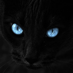 -i don't know anything-part 2