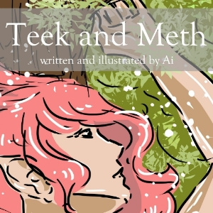 Teek and Meth: Cover Art