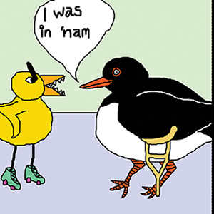 Angry Duck and Lardy Oystercatcher