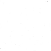 What The Hell Is happening?