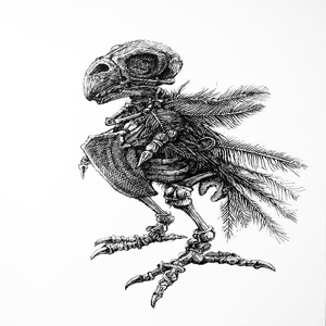 10 Petal&rsquo;s Scrolls 