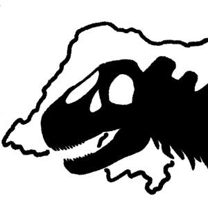 Como Uma Perfura&ccedil;&atilde;o Em Um Osso Fossilizado Conta Toda Uma Hist&oacute;ria